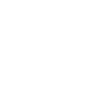 Logo FNH blanc Logo FNH blanc